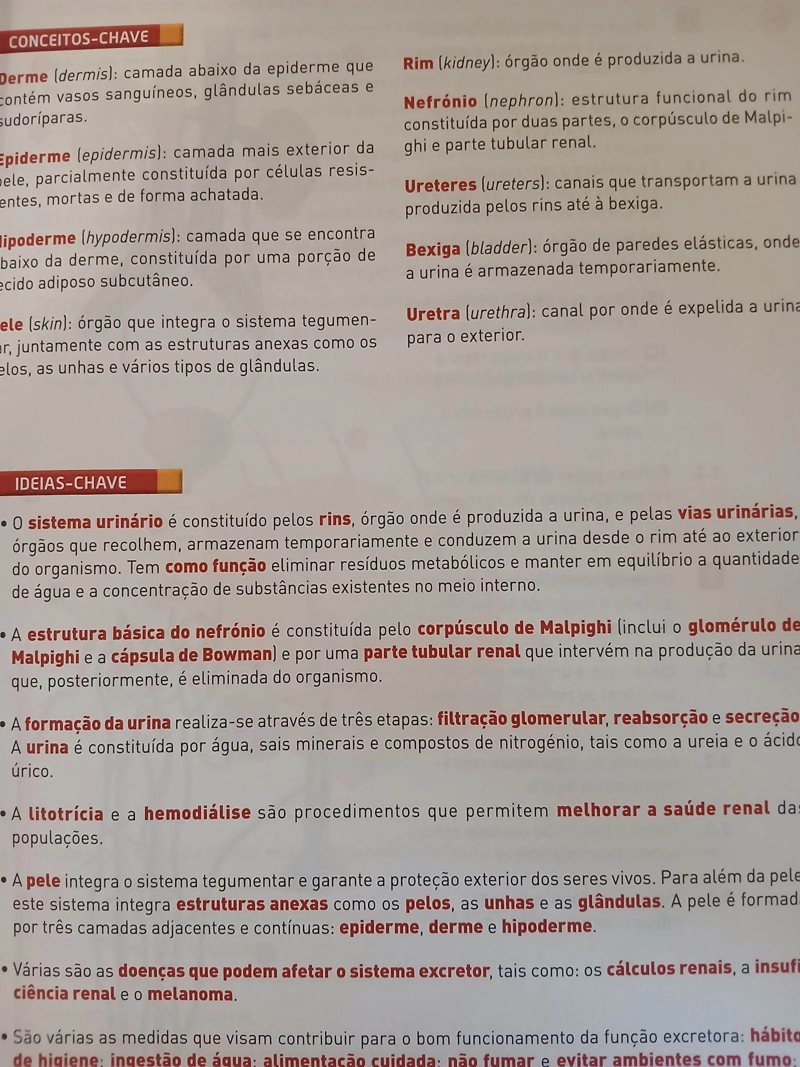 Compreender o corpo humano 9 - manual  – photo 7
